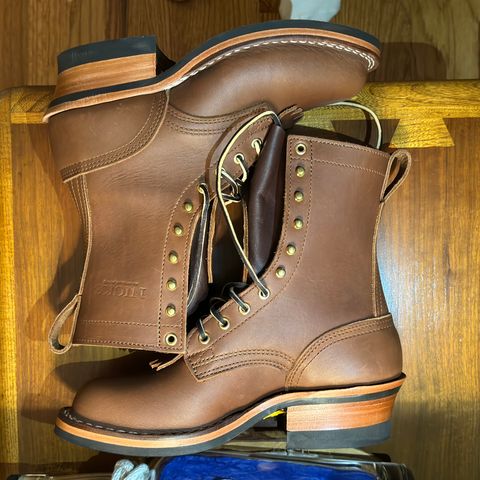 Nicks Ranger in Seidel 1964 Brown