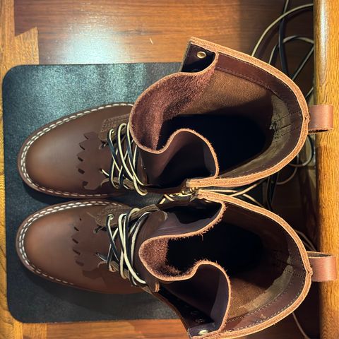 Nicks Ranger in Seidel 1964 Brown