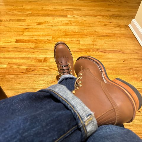 Nicks Ranger in Seidel 1964 Brown