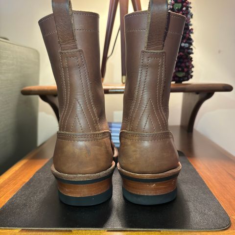 Nicks Ranger in Seidel 1964 Brown