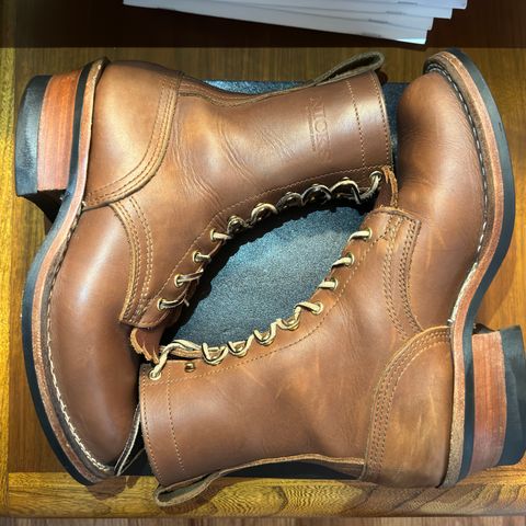 Nicks Ranger in Seidel 1964 Brown
