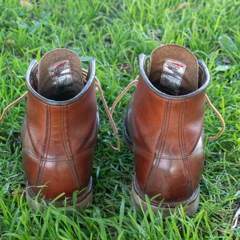 Red Wing 8-Inch Classic Moc in S.B. Foot Oro Legacy