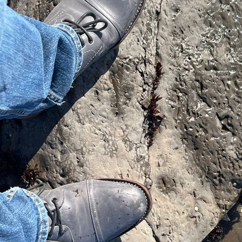 BLKBRD Luchador Service Boot in Unknown Leather