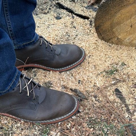 Nicks Falcon in Horween Charcoal Cypress