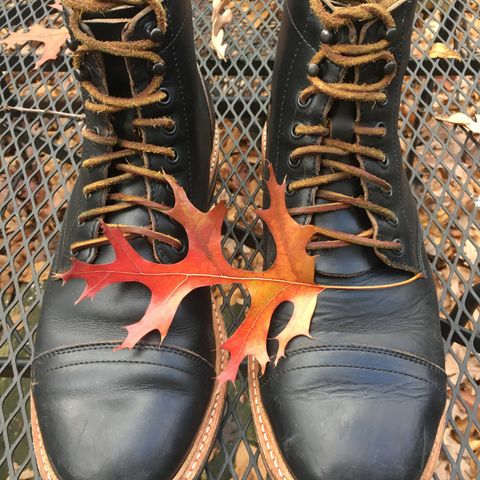 Oak Street Bootmakers Trench Boot in Horween Black Chromexcel