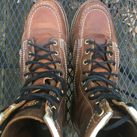 Thorogood 8" Moc Toe in Seidel Trail Crazy Horse