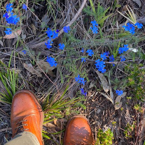 Anastazi Service Boot in Whiskey Veg-Tanned Calfskin