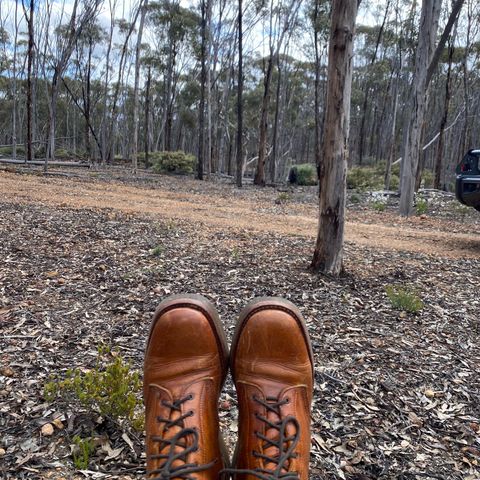 Anastazi Service Boot in Whiskey Veg-Tanned Calfskin