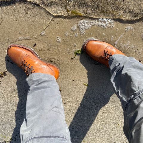 Anastazi Service Boot in Whiskey Veg-Tanned Calfskin