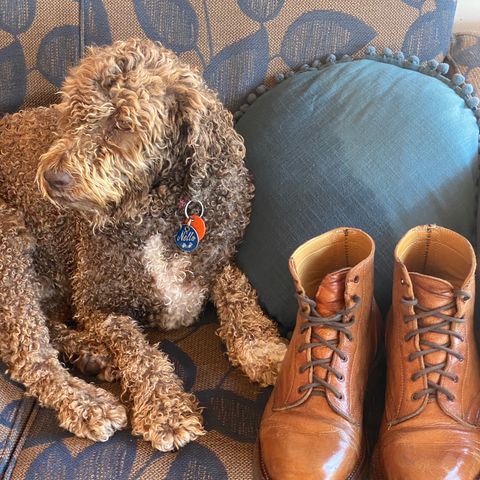 Anastazi Service Boot in Whiskey Veg-Tanned Calfskin