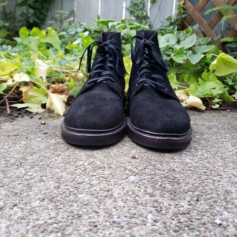 Oak Street Bootmakers Field Boot in Seidel Black Oiled Congo Shrunken Bison Roughout
