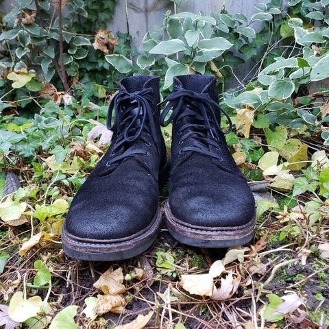 Oak Street Bootmakers Field Boot in Seidel Black Oiled Congo Shrunken Bison Roughout