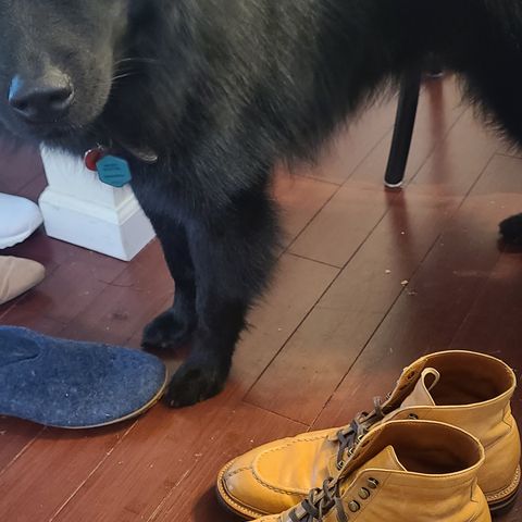 Grant Stone Ottawa Boot in Incas Natural Kangaroo