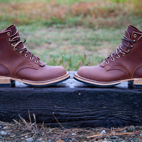 Nicks Falcon in Seidel 1964 Brown