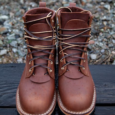 Nicks Falcon in Seidel 1964 Brown