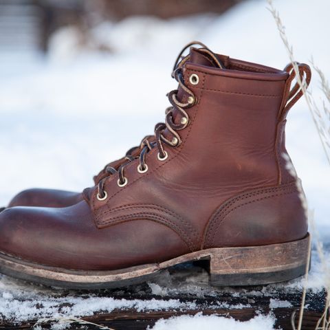 Nicks Falcon in Seidel 1964 Brown
