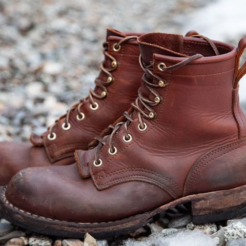 Nicks Falcon in Seidel 1964 Brown