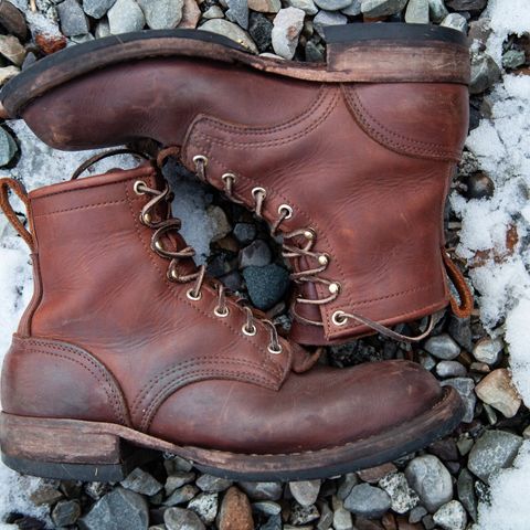 Nicks Falcon in Seidel 1964 Brown