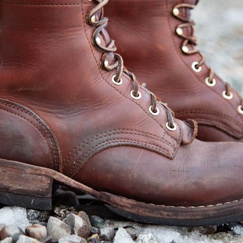 Nicks Falcon in Seidel 1964 Brown