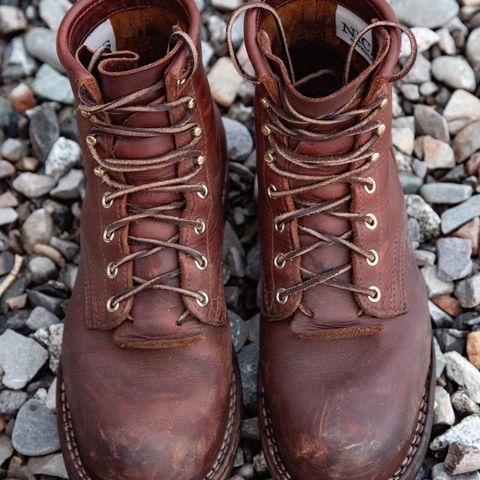 Nicks Falcon in Seidel 1964 Brown
