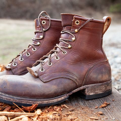 Nicks Falcon in Seidel 1964 Brown