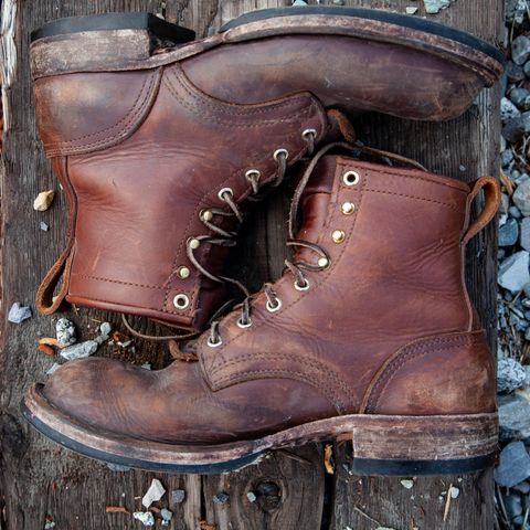 Nicks Falcon in Seidel 1964 Brown