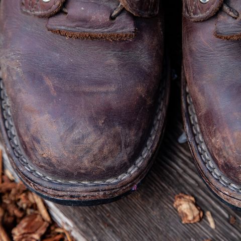 Nicks Falcon in Seidel 1964 Brown