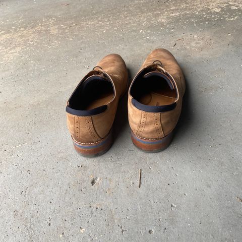 Johnston & Murphy Canton in Unknown Leather