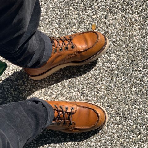 View photo of Red Wing 6-Inch Classic Moc in S.B. Foot Oro-Iginal