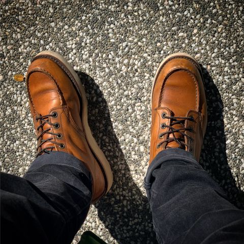 View photo of Red Wing 6-Inch Classic Moc in S.B. Foot Oro-Iginal