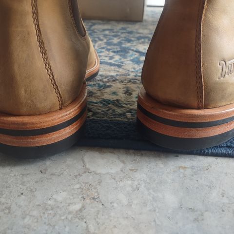 Dayton Boots Wholecut Chelsea in Brown Nubuck