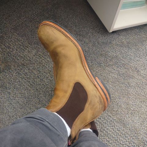 Dayton Boots Wholecut Chelsea in Brown Nubuck