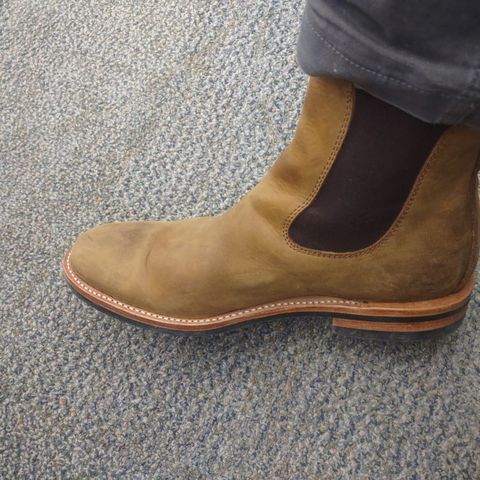Dayton Boots Wholecut Chelsea in Brown Nubuck