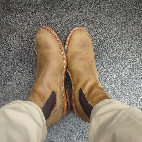 Dayton Boots Wholecut Chelsea in Brown Nubuck