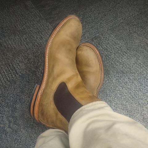 Dayton Boots Wholecut Chelsea in Brown Nubuck