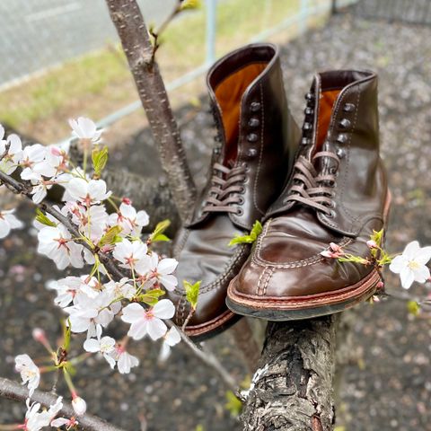 Alden Tanker Boot in Horween Cigar Shell Cordovan
