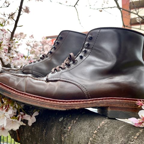 Alden Tanker Boot in Horween Cigar Shell Cordovan