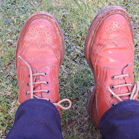 Search result thumbnail of Tricker's Stow Country Boot in Marron Calf