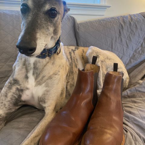 Rider Boot Co. Fritz in Maryam Toscanello Horsebutt