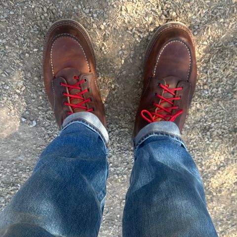 View photo of Red Wing 6-Inch Classic Moc in S.B. Foot Copper Rough and Tough