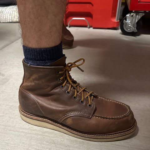 View photo of Red Wing 6-Inch Classic Moc in S.B. Foot Copper Rough and Tough