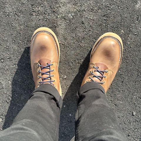 View photo of Nicks Free Range in Horween Natural Chromexcel