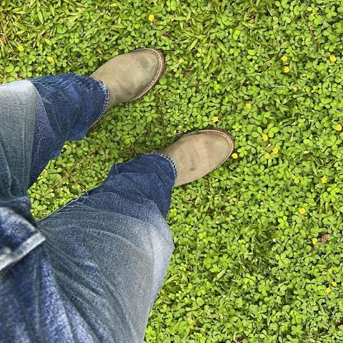 Wesco Morrison in Olive Burlap