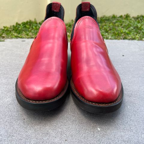 View photo of Wesco Romeo in Shinki Cognac Shell Cordovan