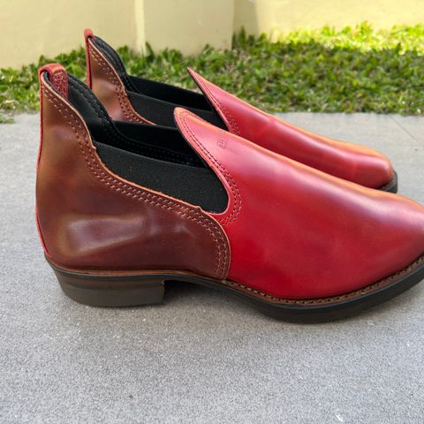 View photo of Wesco Romeo in Shinki Cognac Shell Cordovan