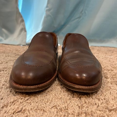 Alden Plain Toe Loafer in Horween Ravello Shell Cordovan