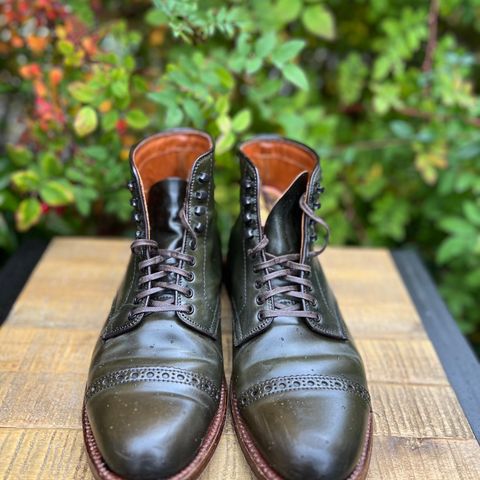 Alden Perforated Cap Toe Boot in Horween Old Bronze Shell Cordovan