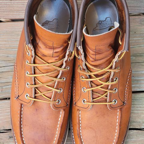 Search result thumbnail of Red Wing 6-Inch Classic Moc in S.B. Foot Oro Legacy