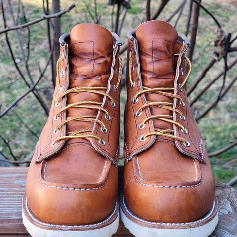 View photo of Red Wing 6-Inch Classic Moc in S.B. Foot Oro Legacy