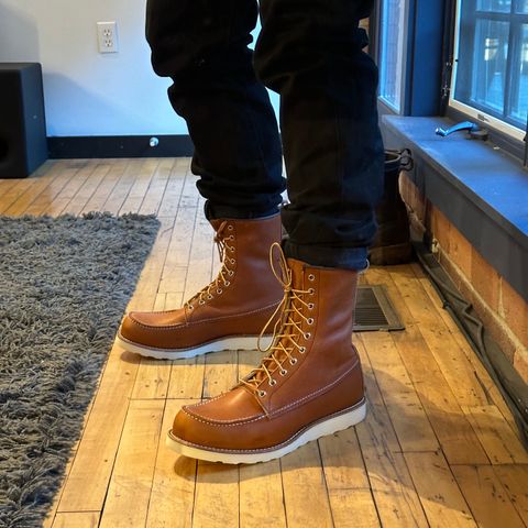 Red Wing 8-Inch Classic Moc in S.B. Foot Oro Legacy